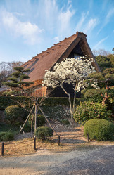 Similar image 21020656