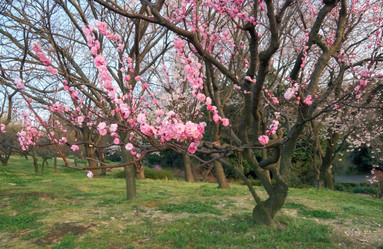 Similar image 21020659