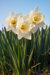 Similar image 21020660