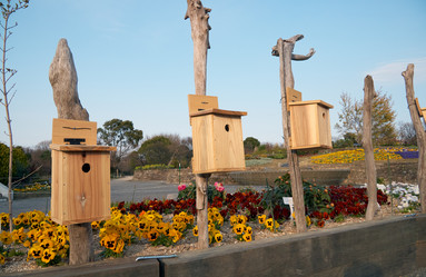 Similar image 21020661