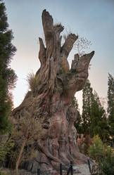 Similar image 21020667