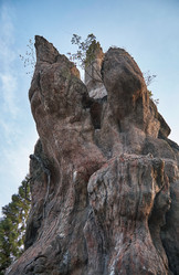 Similar image 21020707