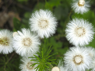 Similar image 20997835