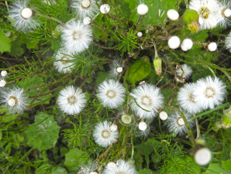 Similar image 20997838