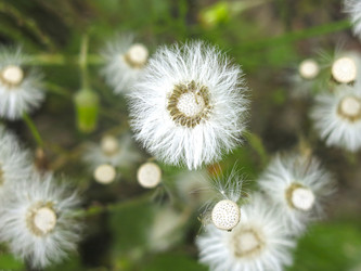 Similar image 20997839