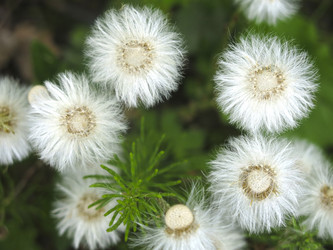 Similar image 20997840