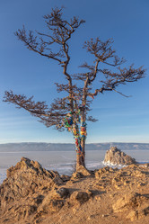 Similar image 21016580