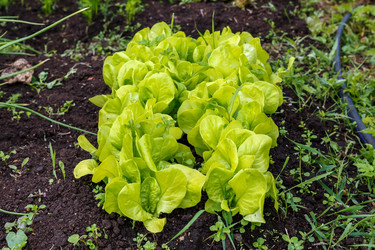 Similar image 20998134