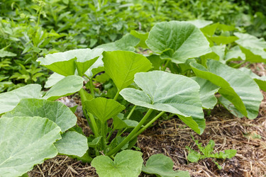 Similar image 20998136