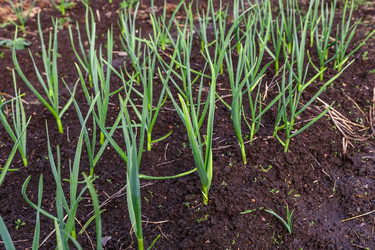 Similar image 20998142