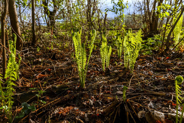 Similar image 20998144