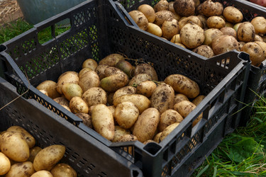 Similar image 20998165