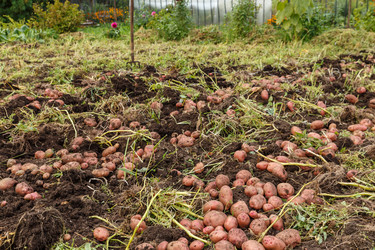 Similar image 20998173