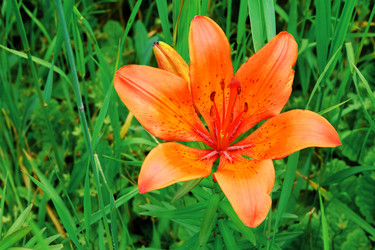 Similar image 20998432