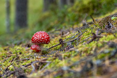 Similar image 20997868