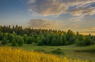 Similar image 20997869