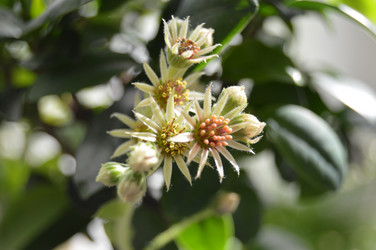 Similar image 21003079