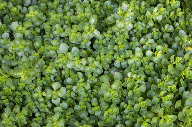 Similar image 20998899