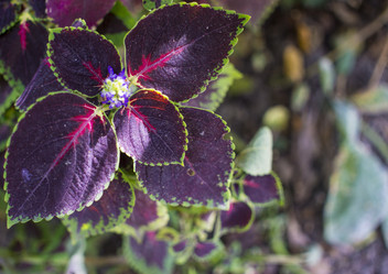 Similar image 20998900