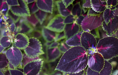 Similar image 20998901