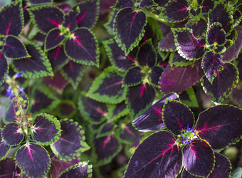 Similar image 20998902