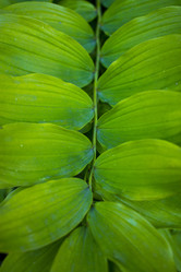 Similar image 20998903