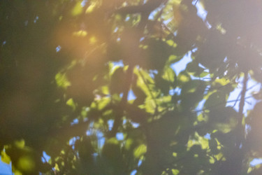 Similar image 20998915