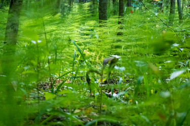 Similar image 20998749