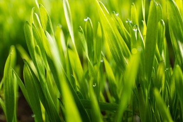 Similar image 20998751