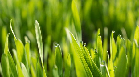 Similar image 20998753