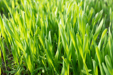 Similar image 20998756