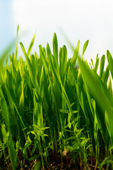 Similar image 20998757