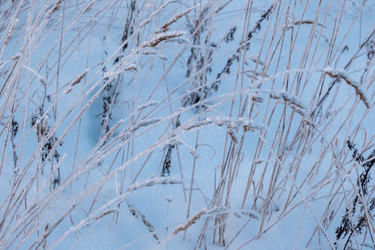 Similar image 20998763