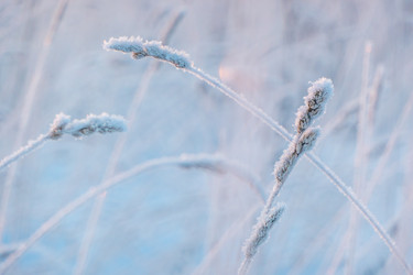 Similar image 20998770