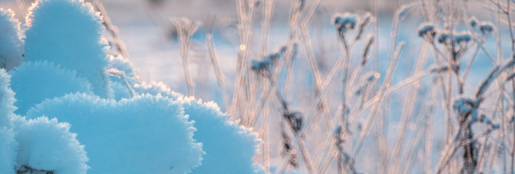 Similar image 20998772