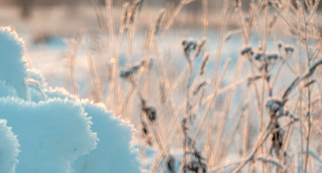 Similar image 20998774