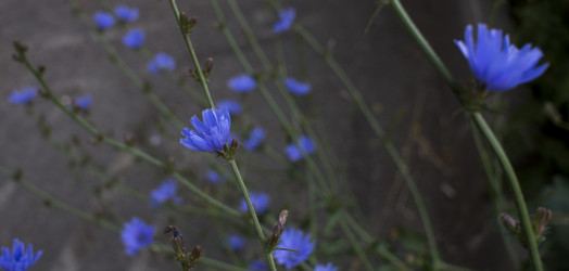 Similar image 20998809