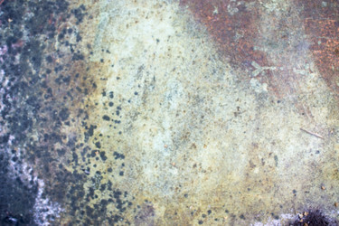 Similar image 20998818