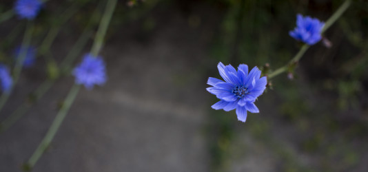 Similar image 20998821