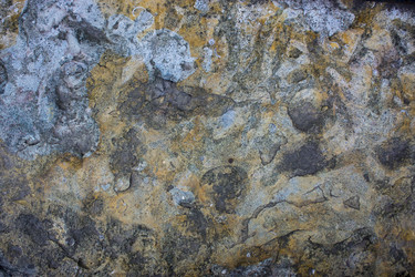 Similar image 20998822