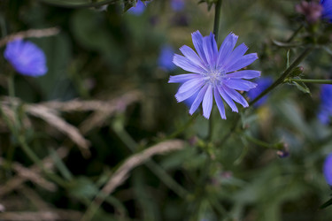 Similar image 20998823