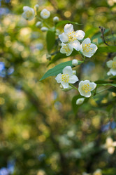 Similar image 20998827