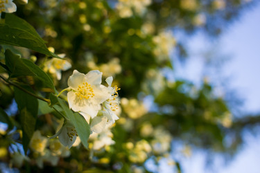 Similar image 20998828