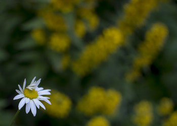 Similar image 20998829