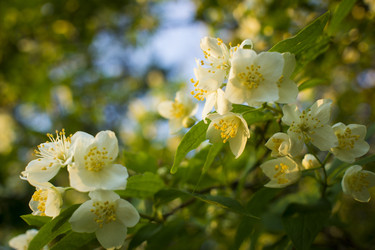 Similar image 20998830