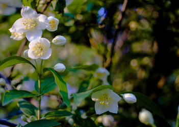 Similar image 20998832