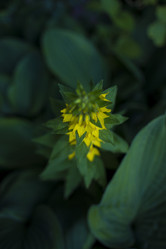 Similar image 20998834