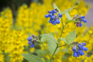 Similar image 20998837