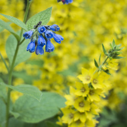 Similar image 20998838