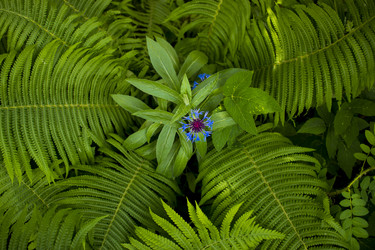 Similar image 20998839